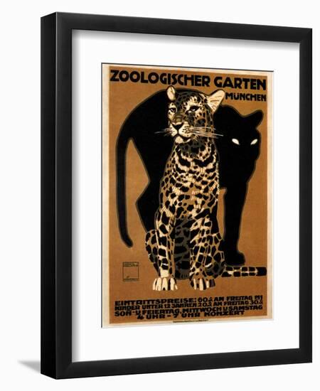 zoo big cats-null-Framed Premium Giclee Print