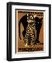 zoo big cats-null-Framed Premium Giclee Print