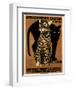 zoo big cats-null-Framed Premium Giclee Print