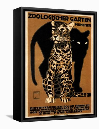 zoo big cats-null-Framed Stretched Canvas