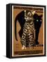 zoo big cats-null-Framed Stretched Canvas