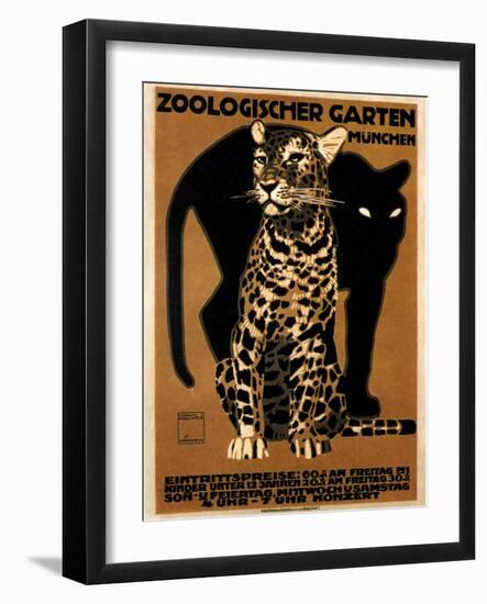 zoo big cats-null-Framed Giclee Print