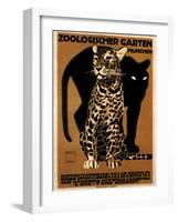 zoo big cats-null-Framed Giclee Print