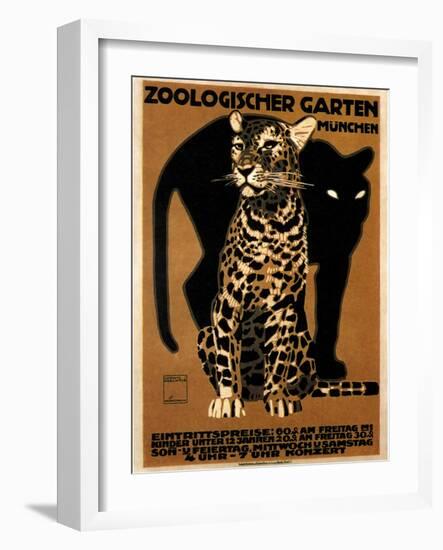 zoo big cats-null-Framed Giclee Print