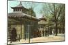 Zoo, Cincinnati, Ohio-null-Mounted Art Print