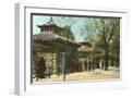 White Frame