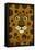 Zoo Faces - Jaguar-Lantern Press-Framed Stretched Canvas