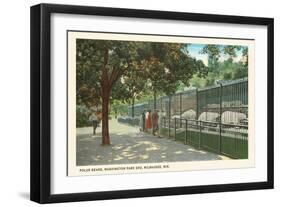 Zoo Polar Bears, Milwaukee, Wisconsin-null-Framed Art Print