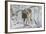 Zoo Wolf 03-Gordon Semmens-Framed Photographic Print