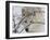 Zoo Wolf 1-Gordon Semmens-Framed Photographic Print