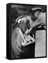 Zookeeper Rubbing a Hippotomus's Gums at the Brookfield Zoo-William Vandivert-Framed Stretched Canvas