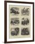 Zoological Eccentricities at the Regent's Park-null-Framed Giclee Print