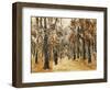 Zoological Gardens in Autumn with Figures Walking; Tiergarten Im Herbst Mit Spaziergangern-Max Liebermann-Framed Giclee Print