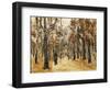 Zoological Gardens in Autumn with Figures Walking; Tiergarten Im Herbst Mit Spaziergangern-Max Liebermann-Framed Giclee Print