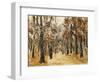 Zoological Gardens in Autumn with Figures Walking; Tiergarten Im Herbst Mit Spaziergangern-Max Liebermann-Framed Giclee Print