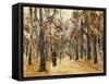 Zoological Gardens in Autumn with Figures Walking; Tiergarten Im Herbst Mit Spaziergangern-Max Liebermann-Framed Stretched Canvas