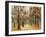 Zoological Gardens in Autumn with Figures Walking; Tiergarten Im Herbst Mit Spaziergangern-Max Liebermann-Framed Giclee Print