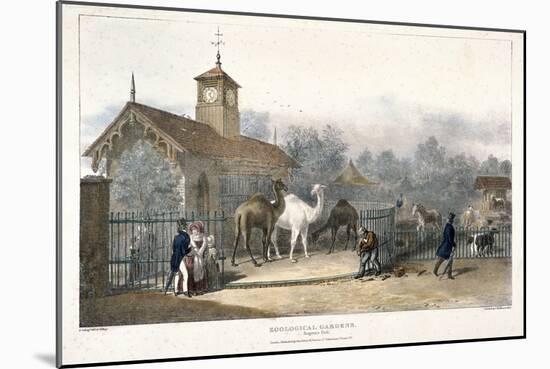 Zoological Gardens, Regent's Park, London, 1835-Charles Joseph Hullmandel-Mounted Giclee Print