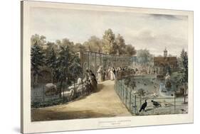 Zoological Gardens, Regent's Park, London, 1835-George Scharf-Stretched Canvas