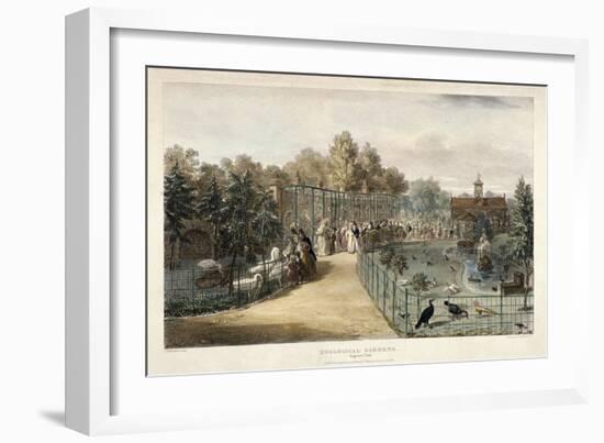 Zoological Gardens, Regent's Park, London, 1835-George Scharf-Framed Giclee Print