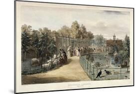 Zoological Gardens, Regent's Park, London, 1835-George Scharf-Mounted Giclee Print