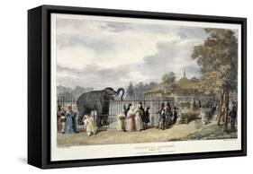 Zoological Gardens, Regent's Park, London, 1835-George Scharf-Framed Stretched Canvas