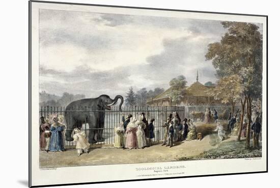 Zoological Gardens, Regent's Park, London, 1835-George Scharf-Mounted Giclee Print