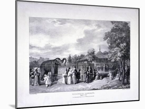 Zoological Gardens, Regent's Park, Marylebone, London, 1835-George Scharf-Mounted Giclee Print