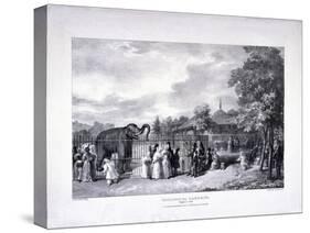 Zoological Gardens, Regent's Park, Marylebone, London, 1835-George Scharf-Stretched Canvas