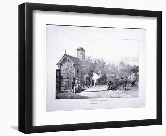 Zoological Gardens, Regent's Park, Marylebone, London, 1835-George Scharf-Framed Premium Giclee Print