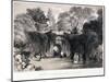 Zoological Gardens, Regent's Park, Marylebone, London, C1840-FW Hulme-Mounted Giclee Print