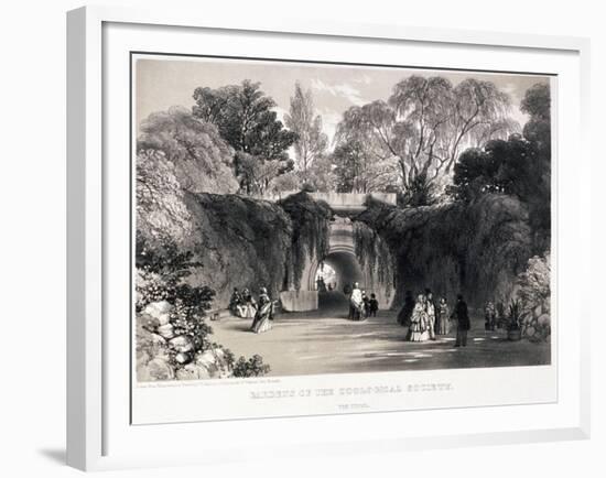 Zoological Gardens, Regent's Park, Marylebone, London, C1840-FW Hulme-Framed Giclee Print