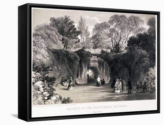 Zoological Gardens, Regent's Park, Marylebone, London, C1840-FW Hulme-Framed Stretched Canvas