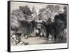 Zoological Gardens, Regent's Park, Marylebone, London, C1840-FW Hulme-Framed Stretched Canvas