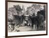 Zoological Gardens, Regent's Park, Marylebone, London, C1840-FW Hulme-Framed Giclee Print