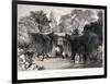 Zoological Gardens, Regent's Park, Marylebone, London, C1840-FW Hulme-Framed Giclee Print