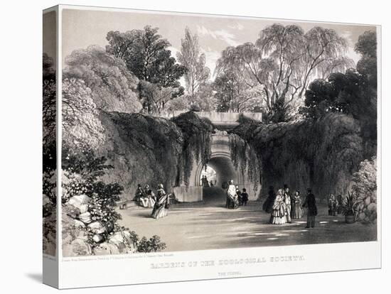 Zoological Gardens, Regent's Park, Marylebone, London, C1840-FW Hulme-Stretched Canvas