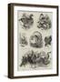 Zoological Society, Prize Poultry-null-Framed Giclee Print