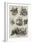 Zoological Society, Prize Poultry-null-Framed Giclee Print