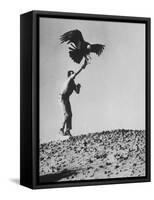 Zoologist James Fowler Capturing Vultures, Placing Transistor on its Back to Study Nesting Habits-John Dominis-Framed Stretched Canvas