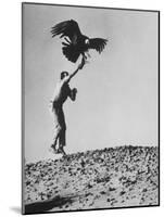 Zoologist James Fowler Capturing Vultures, Placing Transistor on its Back to Study Nesting Habits-John Dominis-Mounted Photographic Print