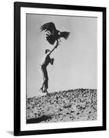 Zoologist James Fowler Capturing Vultures, Placing Transistor on its Back to Study Nesting Habits-John Dominis-Framed Photographic Print