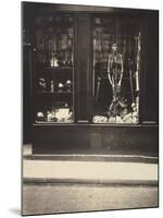 Zoologist's Shop-Eugene Atget-Mounted Art Print