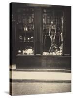 Zoologist's Shop-Eugene Atget-Stretched Canvas