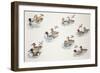 Zoology: Birds, Duck (Anatinae)-null-Framed Giclee Print