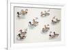 Zoology: Birds, Duck (Anatinae)-null-Framed Giclee Print