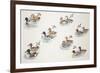 Zoology: Birds, Duck (Anatinae)-null-Framed Giclee Print