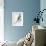 Zoology: Birds, Newton's Parakeet (Psittacula Exsul))-null-Framed Giclee Print displayed on a wall