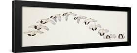 Zoology: Birds, Ptarmigan, (Lagopus Muta)-null-Framed Giclee Print