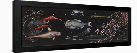 Zoology: Fishes: Different Examples-null-Framed Premium Giclee Print